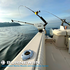 Burnewiin Quick Switch Mounts and Accessories